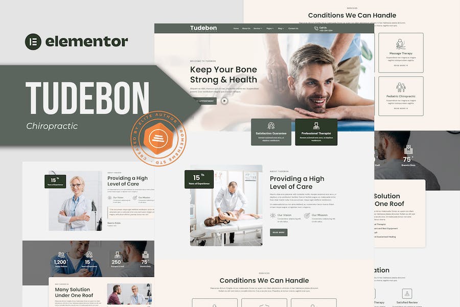 Tudebon - Chiropractic & Physiotherapy Elementor Template Kit